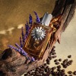 DOLCE & GABBANA DEVOTION POUR HOMME PARFUM