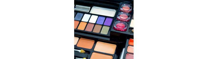 Cofanetti per il Make-up: scopri le migliori offerte online su Cofanetti per il Make-up